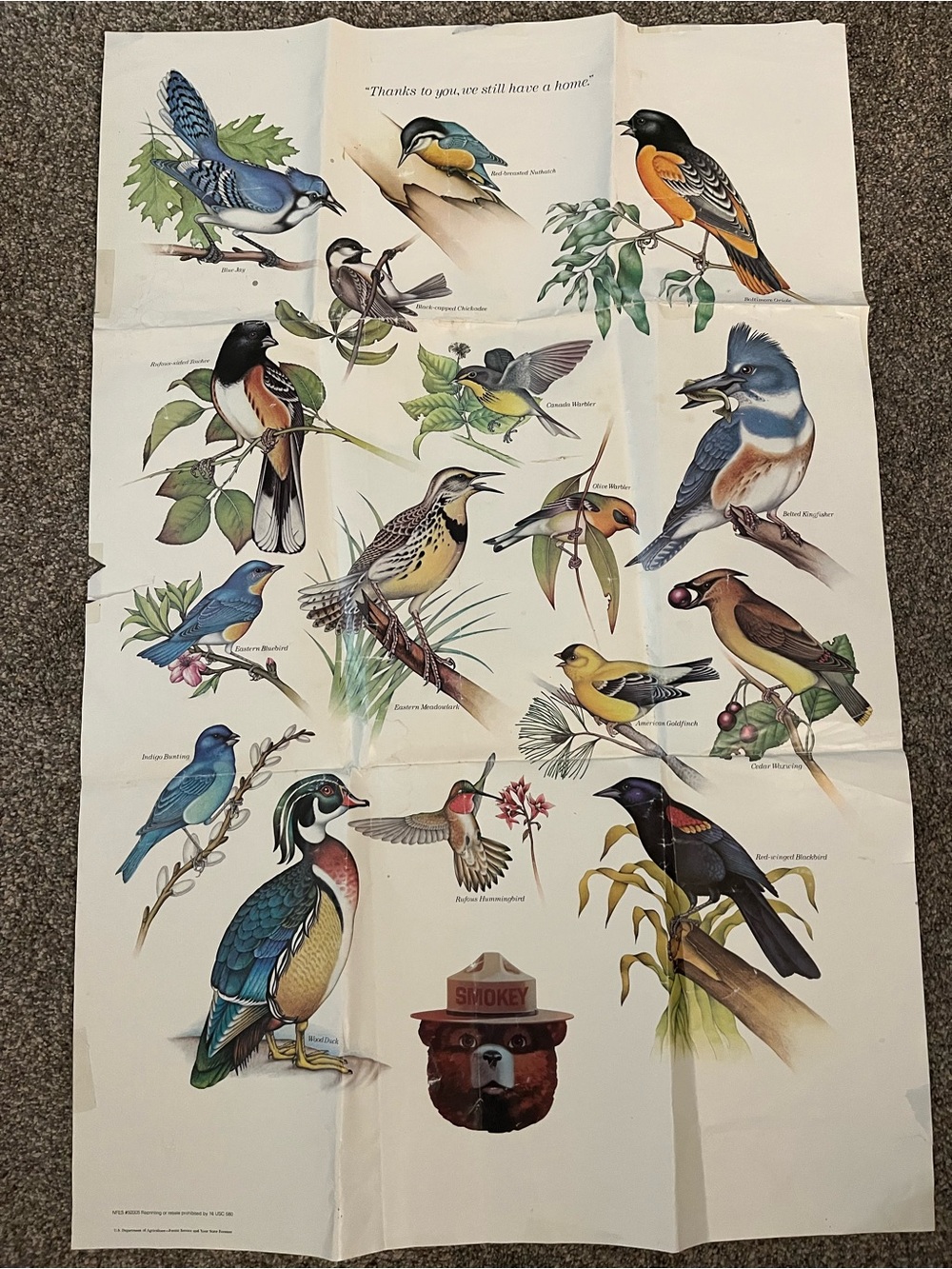 Vintage Bluebird Decorative Sticker - Blue and White